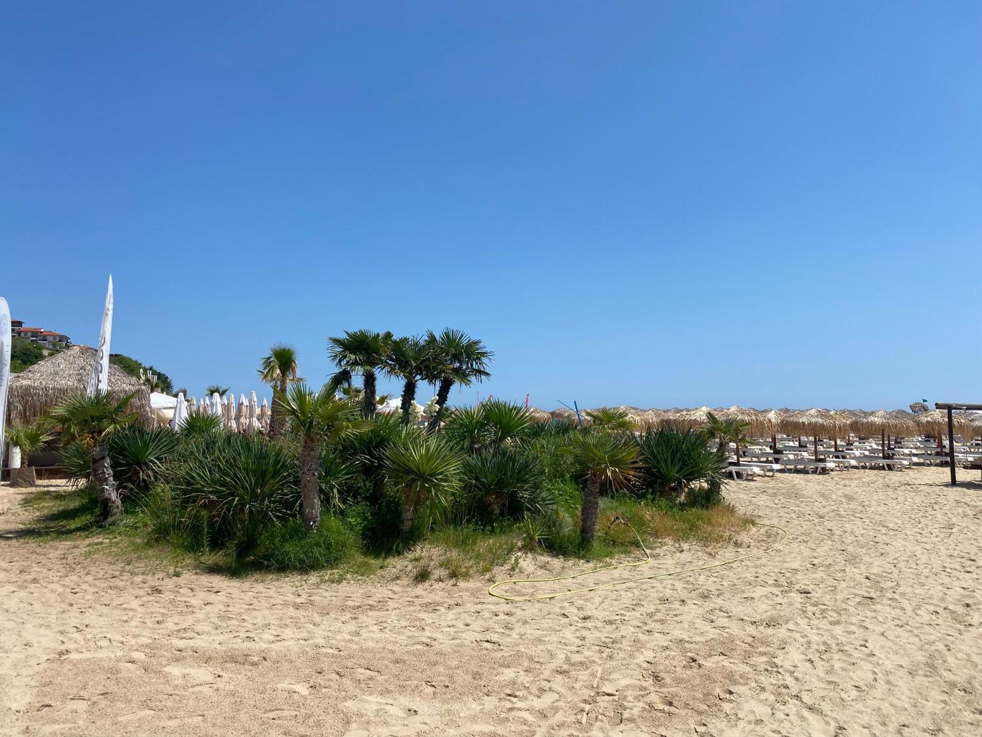 Garden Of Eden B3-2 Private One Bedroom Apartment Sveti Vlas Exterior photo